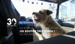 Sommaire émission 30 Millions d'Amis 29/12/2012