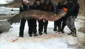 Wow Ce Basketteur De La Nba Peche Un Poisson Geant Pesant 160 Kg Sur Orange Videos