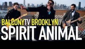 SPIRIT ANIMAL - CROCODILE SKINS (BalconyTV)