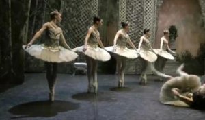 Même le English National Ballet fait son "Harlem Shake" !