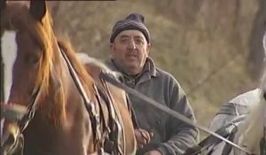 Viande de cheval : enquête sur un trafic d'animaux malades à destination de l'UE
