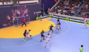 But laser du pivot Parisien Robert Gunnarsson lors de la 17e journée de D1 de handball
