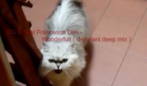 DC 9 feat Francesca Dee - Wonderfull (d-soriani deep mix)