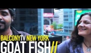 GOAT FISH (BalconyTV)