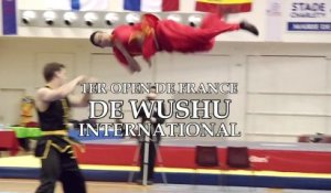 Open de France de Wushu 2013