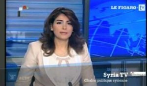La situation en Syrie vue par les médias pro-régime