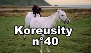 Koreusity n°40