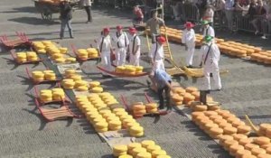 Le gouda, fromage typique des Pays-Bas