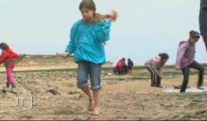 Sortie scolaire : pêche à pied à La Tranche-sur-Mer