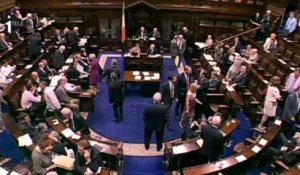 Avortement : l'Irlande adopte une loi controversée
