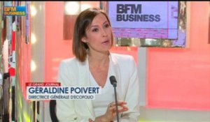 Géraldine Poivert, directrice générale d'Ecofolio dans Le Grand Journal - 22 juillet 5/6