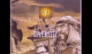 Visions - Dub inc / Album : Diversité