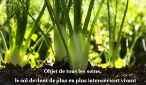 Colloque recherches bio-inspirées - Re-naturer l’agriculture (5/8)