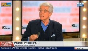 Pascal Perrineau, professeur à l'universite Sciences Po et ancien directeur du Cevipof, dans Le Grand Journal - 27/02 2/4
