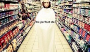 Moby - The Perfect Life (extrait)