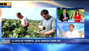 Cuisinez-moi: Le Coco de Paimpol - 07/09