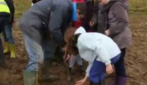 Noordpenne : les enfants de l'école ont planté des arbres