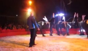 Saint-Tricat: le cirque à la Fête des animaux