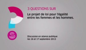 [Questions sur] Projet de loi pour l'égalité entre les femmes et les hommes