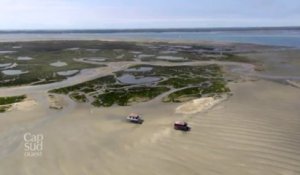 Cap Sud Ouest Bassin d'Arcachon