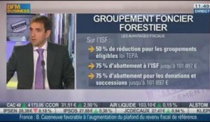 Diversification : le groupement foncier forestier, Philippe Gourdelier dans Intégrale Placements - 01/10