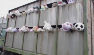 Un camion plein de peluches d'animaux pour protester !!