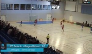 D1 Futsal - Journee 5 - Les buts