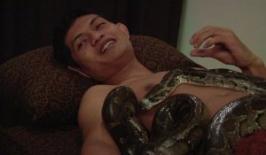 A Jakarta, des serpents en guise de masseuses