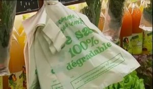 Le sac plastique non biodégradable sera taxé en janvier 2014