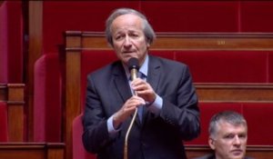 Schwartzenberg : "J'ai vu beaucoup de choses dans cette assemblée, celle-là est dans les plus hauts niveaux de l'insolite"