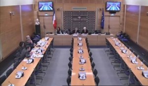 audition de spécialistes de la probation au Conseil de l’Europe  - Jeudi 29 Novembre 2012