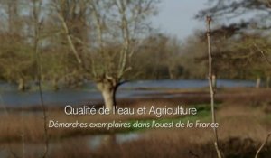 Qualité de l’eau et agriculture : démarches exemplaires dans l’ouest de la France.