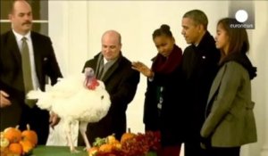 Barack Obama a gracié deux dindes pour Thanksgiving