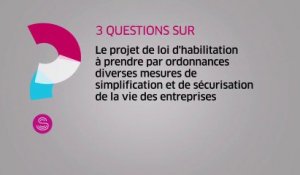 [Questions sur] PJL d'habilitation à prendre par ordonnances diverses mesures de simplification et de sécurisation de la vie des entreprises