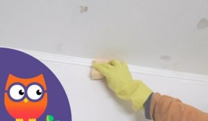 Comment nettoyer des moulures au plafond (Ooreka.fr)
