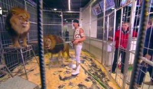 Les lions du cirque Pinder invités d'I>TELE