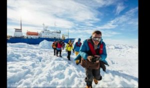 L'évacuation de l'expédition bloquée dans l'Antarctique - Diaporama