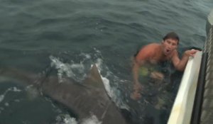 Attaque de requin évitée