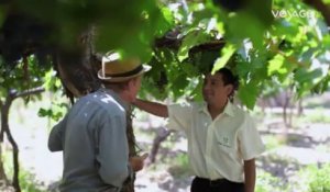 La route des vins : Argentine, La Bodega la Banda