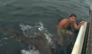 Il survit à une attaque de requin avec une simple cage