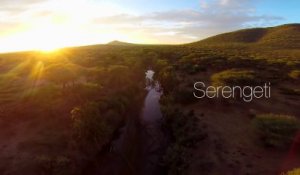Filmer la savane avec un drone et une GoPro : Magique! Le BeetleCopter