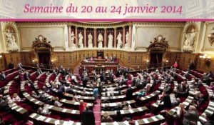 Sénat.Hebdo, semaine du 20 au 24 janvier 2014