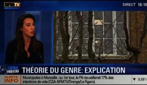 BFM Story: "La théorie du genre n’existe pas", Réjane Sénac - 29/01