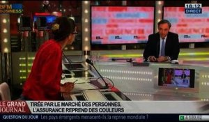 Bernard Spitz, président de la Fédération française des sociétés d’assurance, dans Le Grand Journal – 30/01 1/4