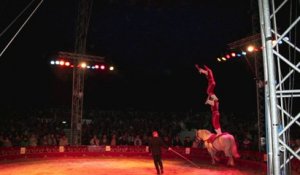 Sin-le-Noble : Dans les coulisses du cirque éducatif