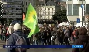 Notre-Dame-des-Landes : Valls met en cause l'ultra-gauche et les "Black Bloc"