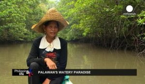 Palawan, véritable paradis vert