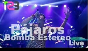 Bomba Estéreo - "Pájaros"  LIVE (Music Video)