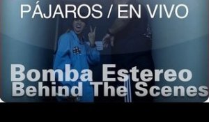 Bomba Estereo - "Pájaros" (Behind The Scenes)