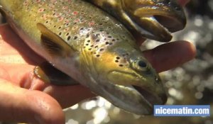 La pêche à la truite dans le Mercantour